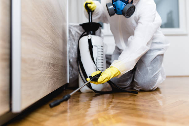 Best Cockroach Control Services  in Sidney, OH