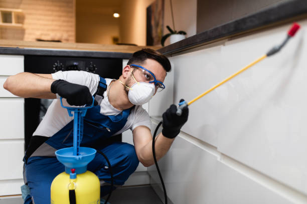 Best Affordable Pest Control Services  in Sidney, OH