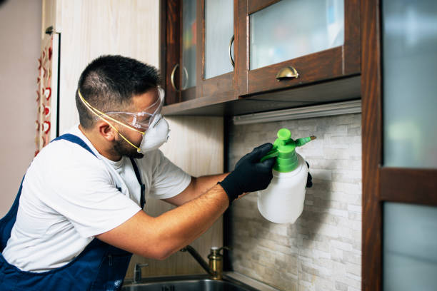 Best Wildlife Control Services  in Sidney, OH