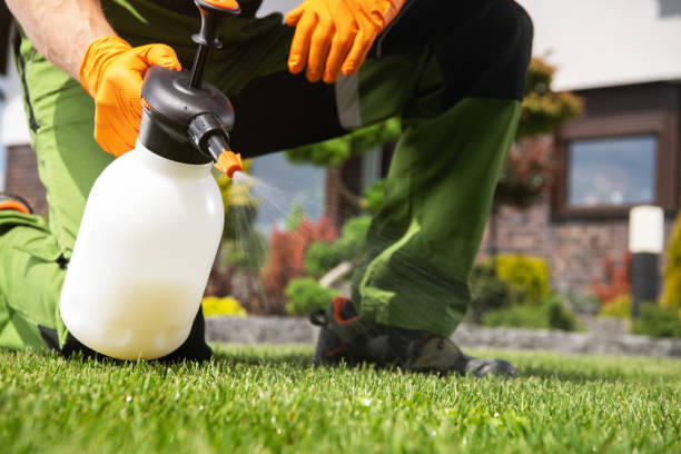 Best Best Pest Control Companies  in Sidney, OH