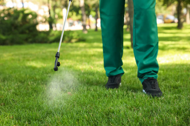Trusted Sidney, OH Pest Control Experts
