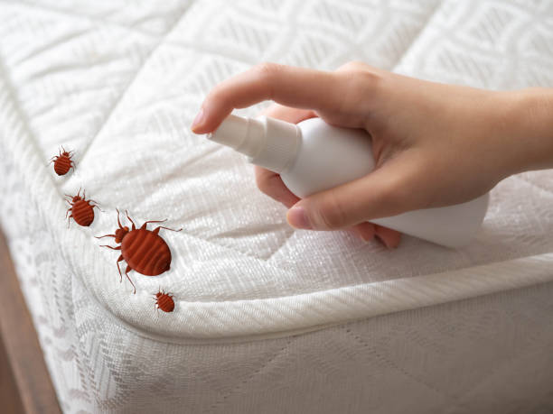 Best Pest Inspection Near Me  in Sidney, OH
