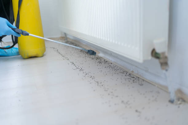 Best Residential Pest Control  in Sidney, OH