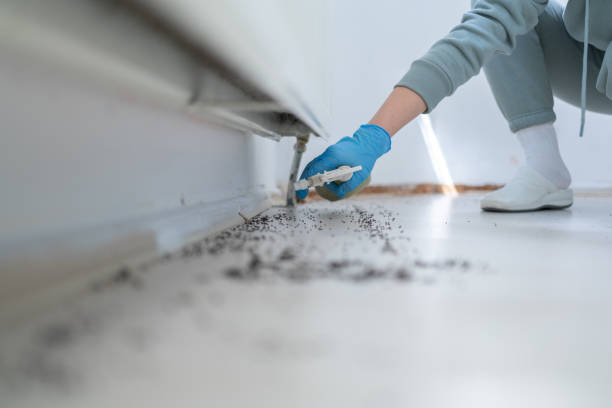 Best Pest Prevention Services  in Sidney, OH