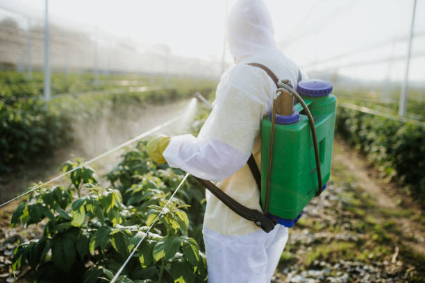 Best Pest Control Near Me in Sidney, OH